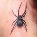 Tattoos - Black Widow Spider neck tattoo  - 57441